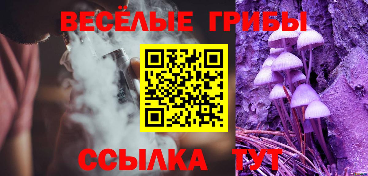 Псилоцибиновые грибы прущие грибы Елизово
